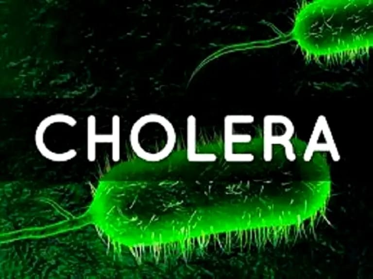 Cholera Outbreak In Delta Under Control, Says Commissioner