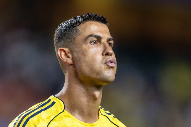 Ronaldo defends Joao Felix from ‘idiots’ who questioned his Al Nassr move